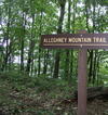 #6: Spelling may not be the trail builders’ strongest suit, along the Allegheny Trail.