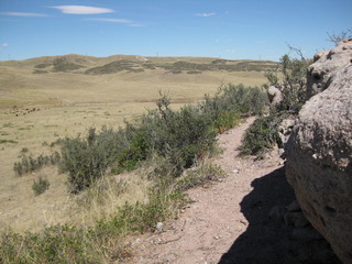 #1: View of the confluence below the rocky outcropping looking northeast