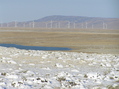 #8: View of wind farm, looking northwest, 1.2 miles west of confluence.