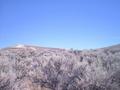 #6: The sagebrush I got stuck in. The confluence is 3 km away over that ridge.