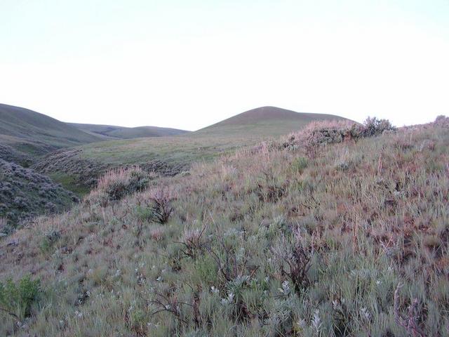 Looking South from site, rolling hills gain elevation.