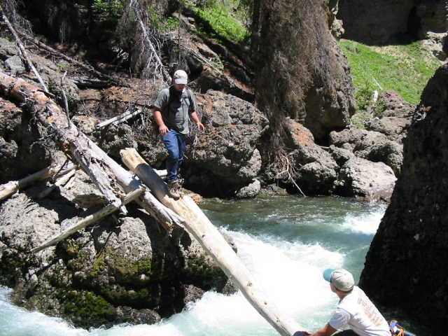 Wade gets ready to cross the Yellowstone