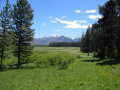#12: Yellowstone river marshlands, approaching Hawks Rest