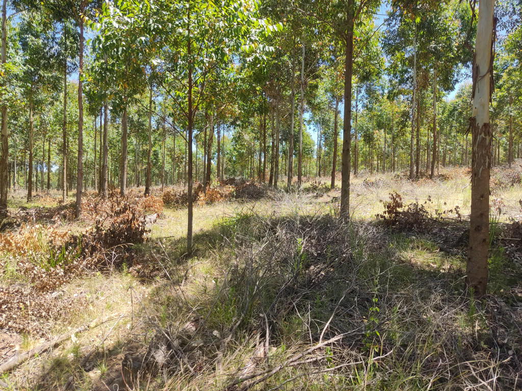 Visão oeste - west view - vista oeste