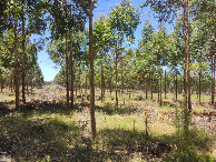 #4: Visão leste - east view - vista leste