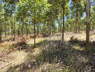 #5: Visão oeste - west view - vista oeste