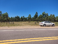 #8: Paramos o carro a 700 metros da confluência - we stopped the car 700 meters to the confluence - paramos el coche 700 metros de la confluencia