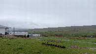 #4: West view, farmer is coming
