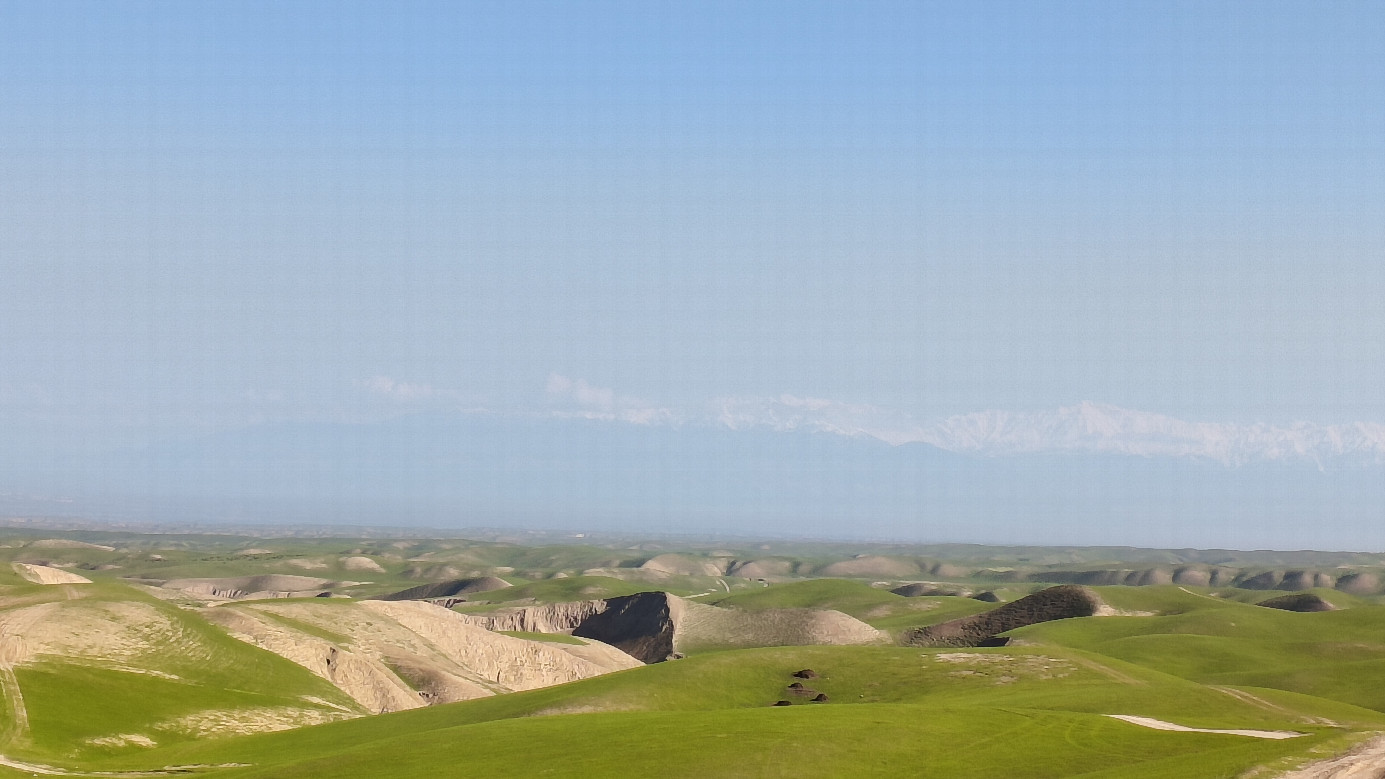 View to remote Baysuntau Range