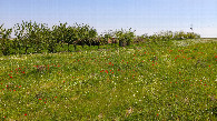 #2: South view