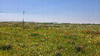 #3: West view