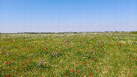 #4: North view