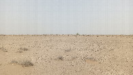 #3: East view