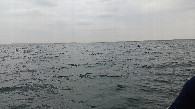 #4: West view