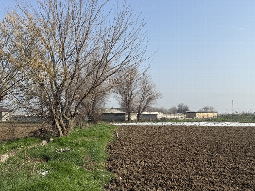 #1: The confluence from 10 m distance