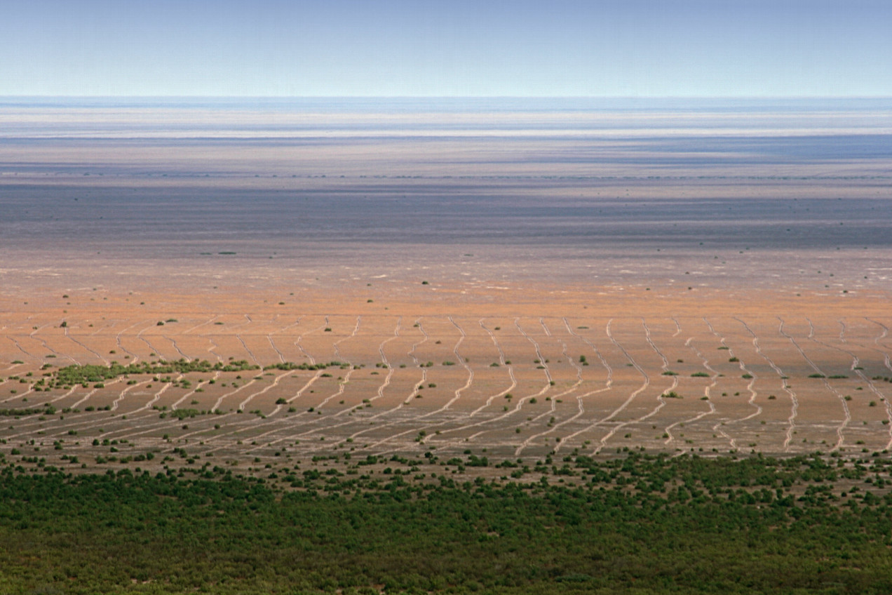 furrows for Saxaul forestation at the Aral Sea lake bed