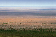 #8: furrows for Saxaul forestation at the Aral Sea lake bed