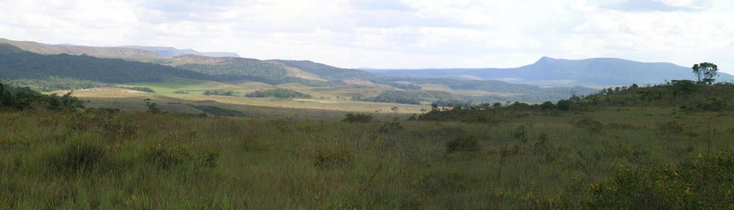 CP-area from the road to Paraitepui – view to SOUTH