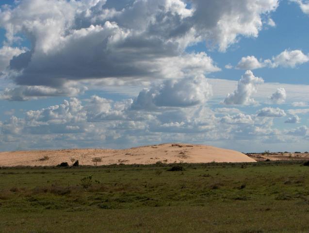 TYPICAL DUNES IN APURE STATE
