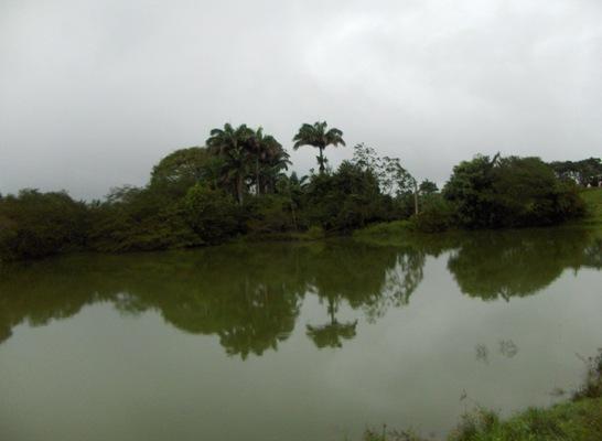 Vista Laguna y morichal