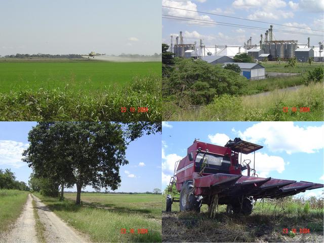 AGRICULTURAL ACTIVITY ON THE AREA AND ACCESS ROAD TO CP