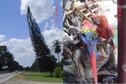 #8: PINE TREE WITH PISA STYLE AND A COUPLE OF SCARLET MACAW