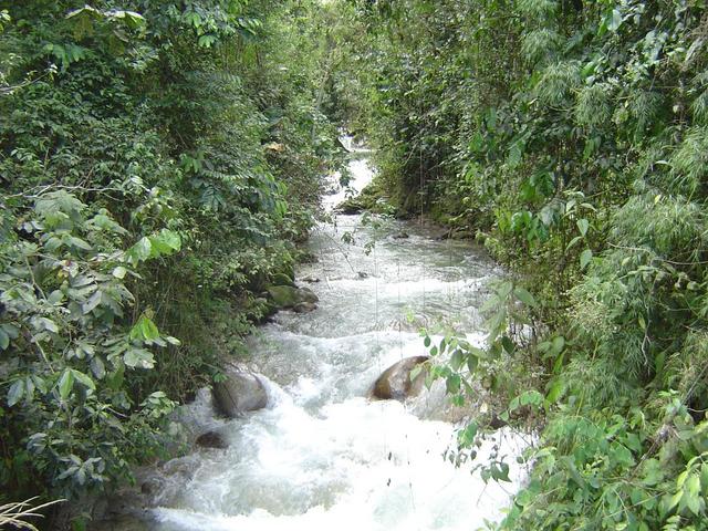 A TYPICAL ANDEAN CREEK.... BEAUTIFUL AND COLD