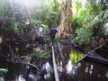 #5: Cedrid y mi persona cruzando el pantano/Cedric and me across the swamp