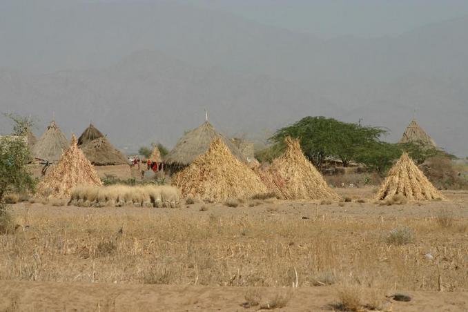 African-style, circular reed huts, Tihāma