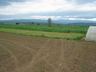 #1: General View of Agricultural Area
