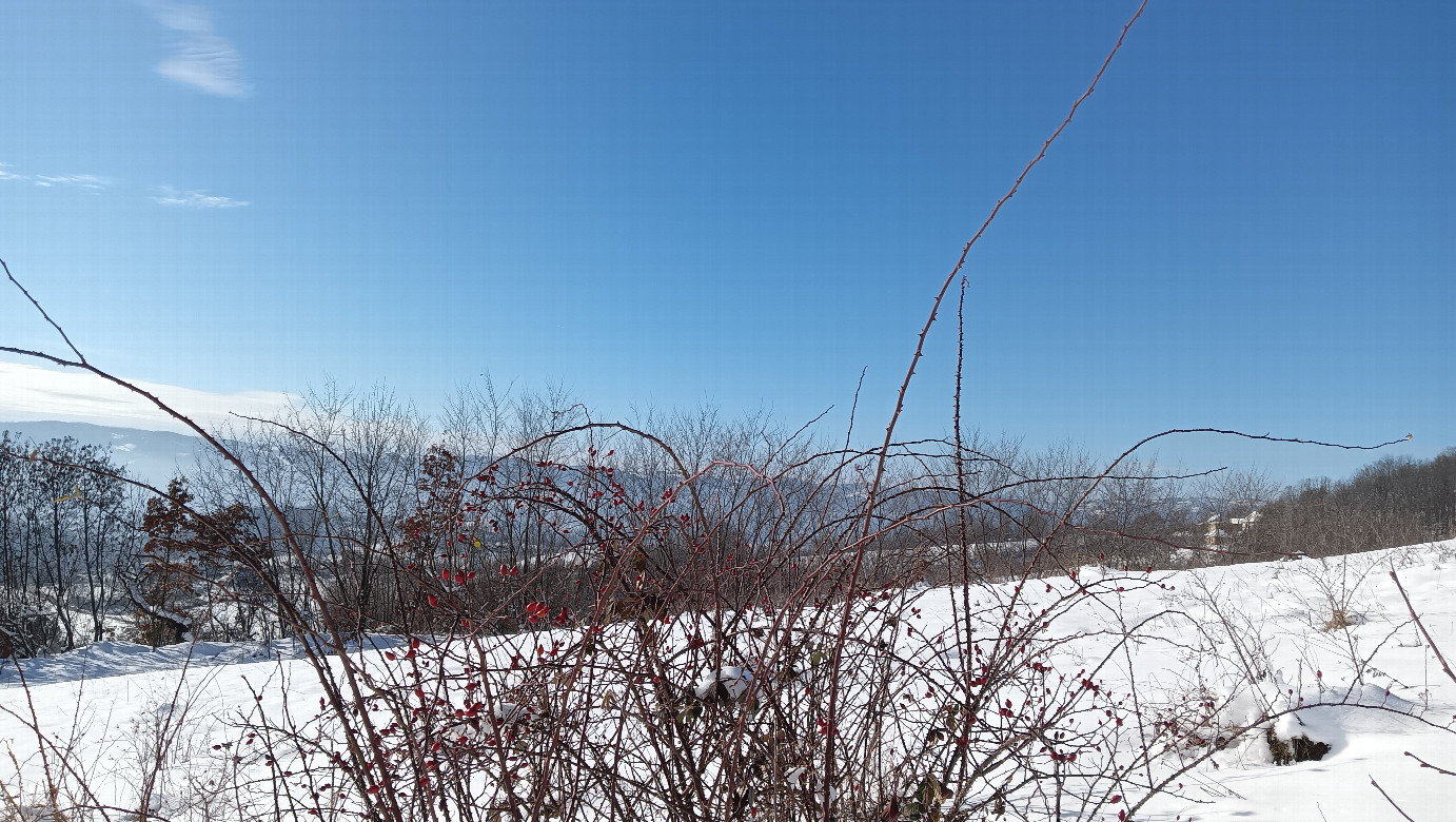 West view