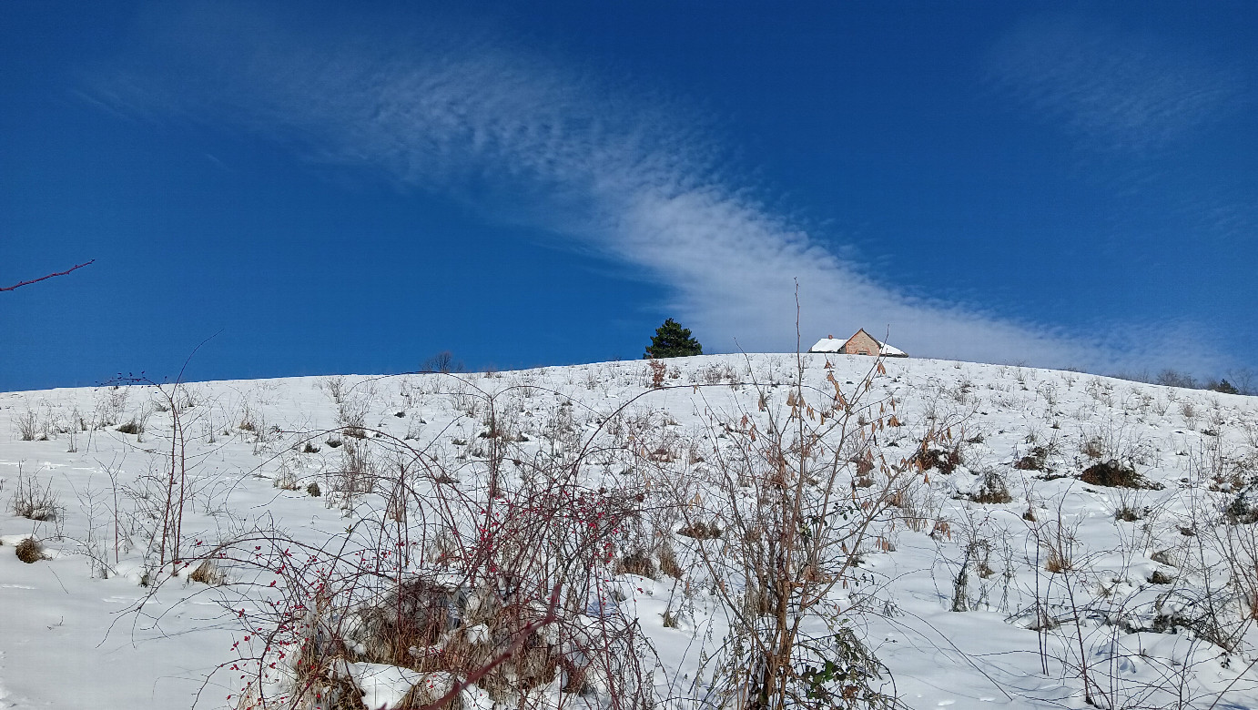 North view, uphill