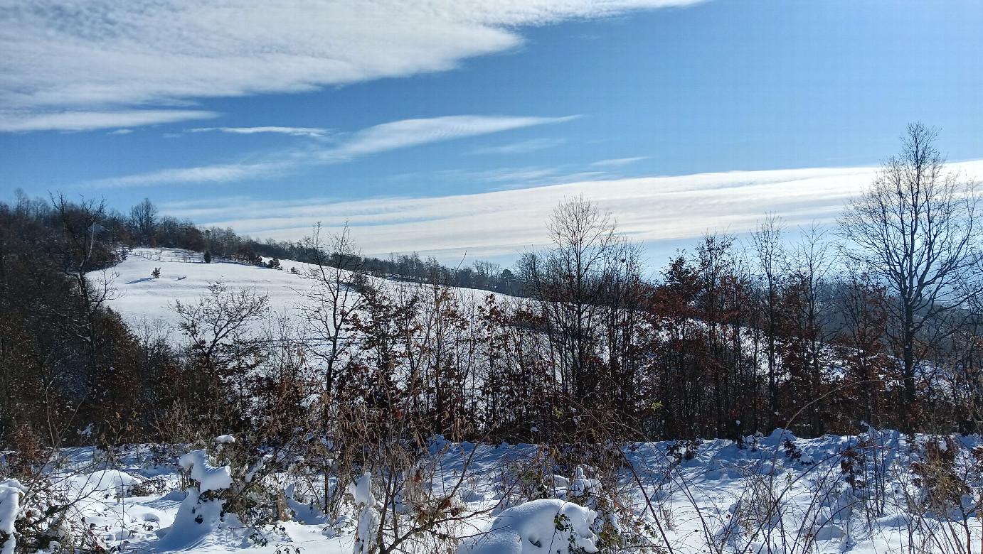 South view, downhill, towards ravine