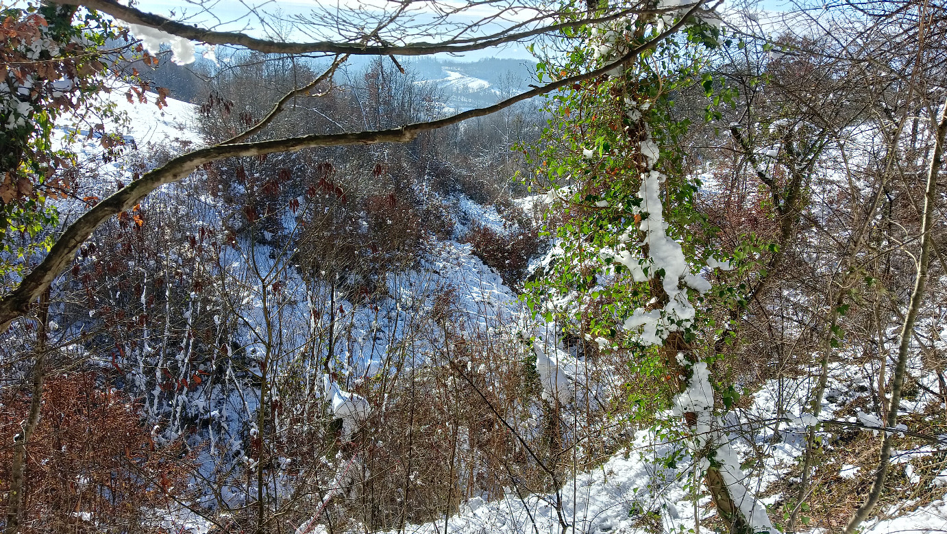 Ravine