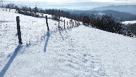 #10: Fence