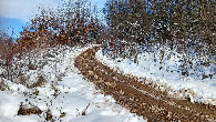 #11: Road