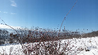 #2: West view