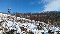 #4: East view