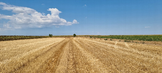 #1: View North - towards the street