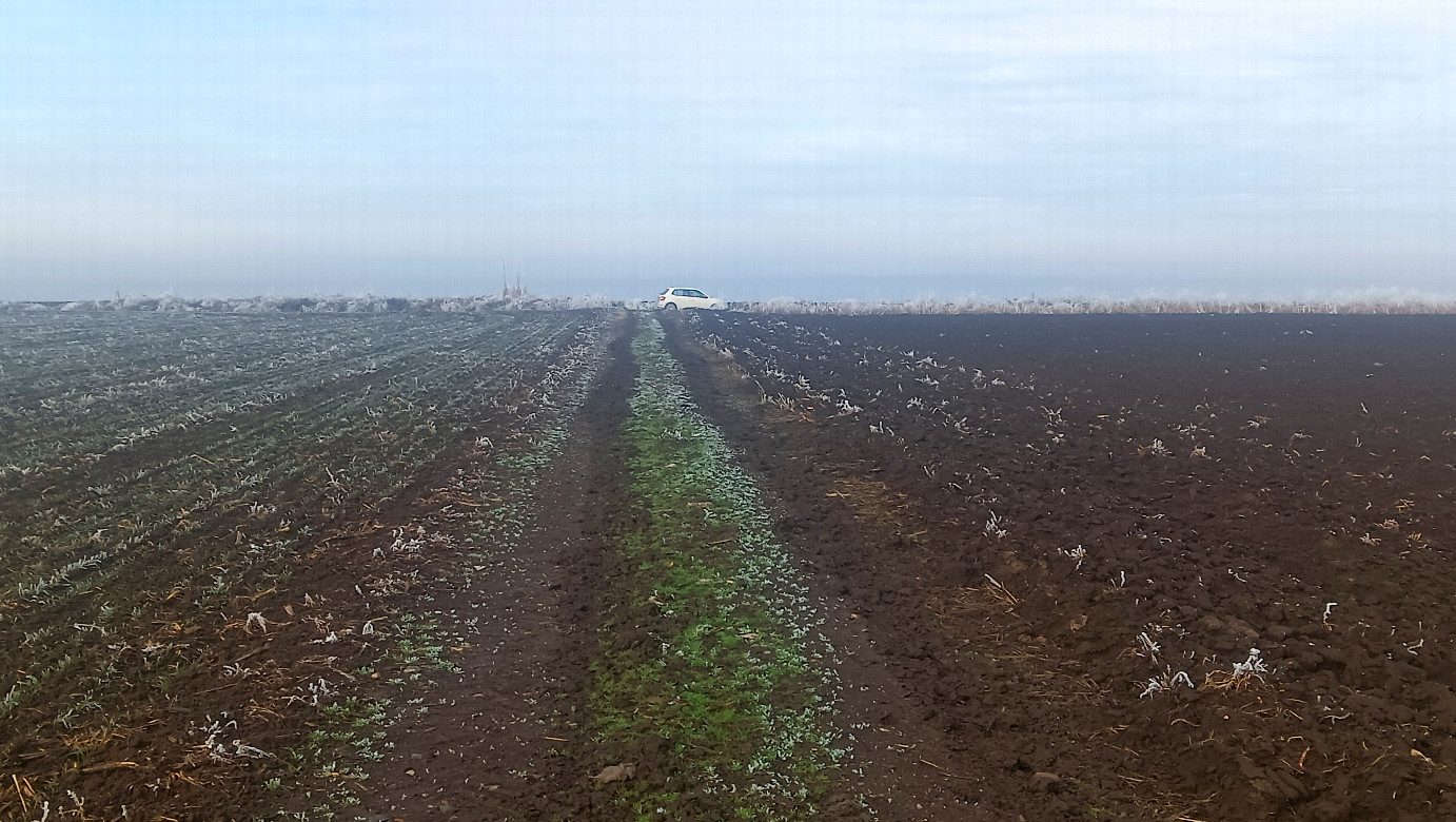 100 m to the car