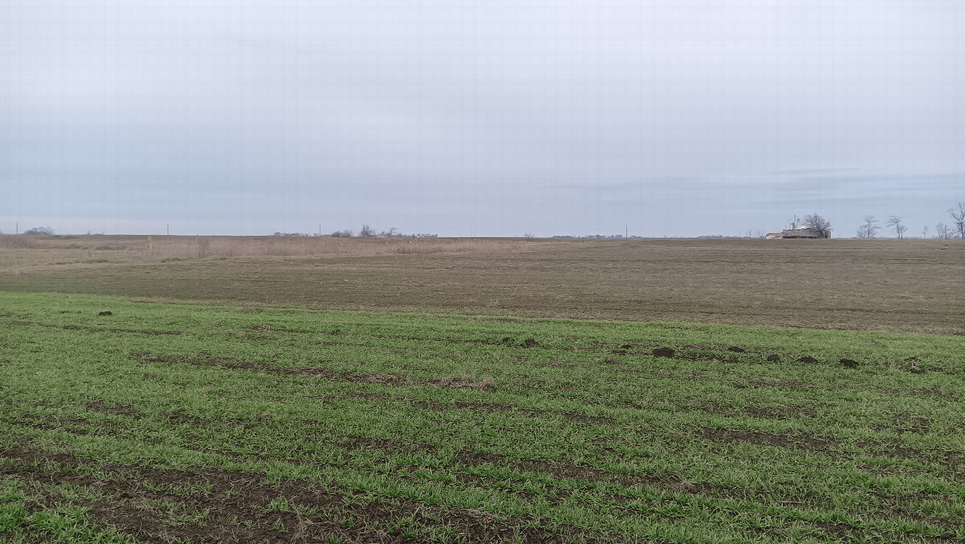 North-west view