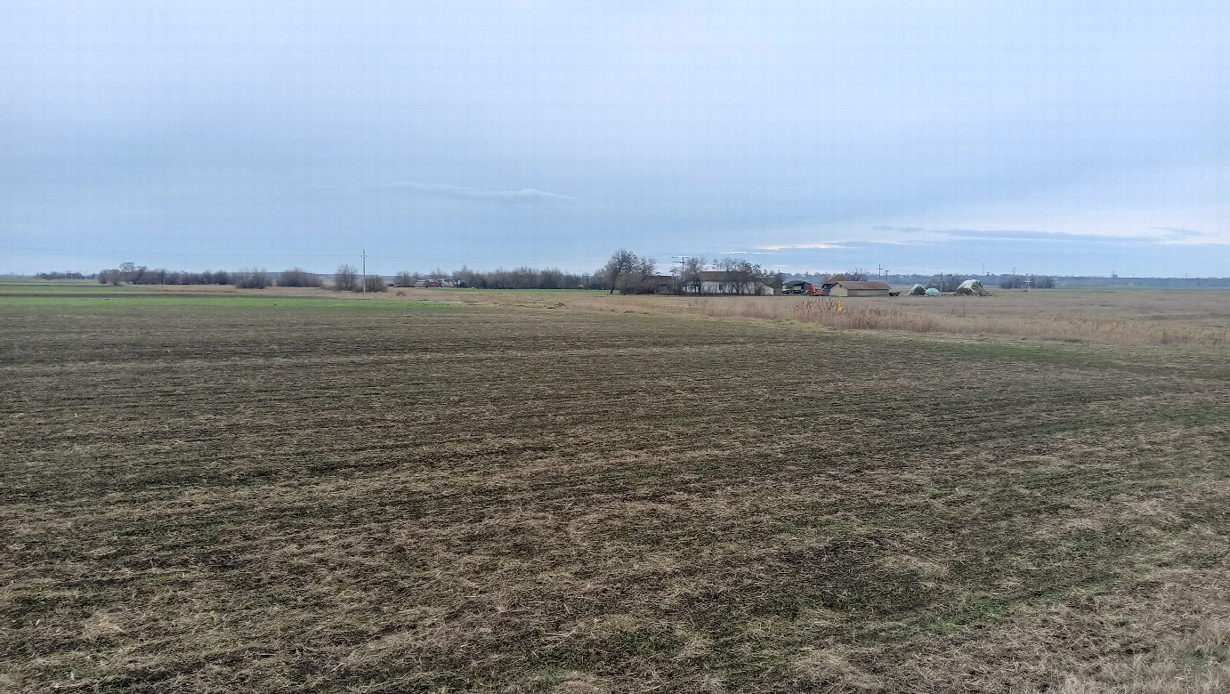 General view (from 100m)