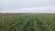 #3: North-east view