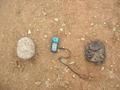 #8: Evidence of the normal inhabitants of the area around the site. Left – elephant dung, right – buffalo pat.