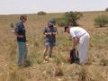 #8: Henning, Roland and Barry use rocks in the area to build a small cairn on the point of 26S 26E