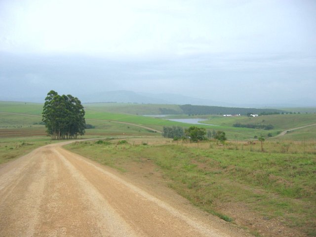 Looking north from 1km north of the Confluence