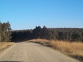 #8: Road towards the South from 50 m east of the Confluence