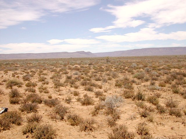 View south