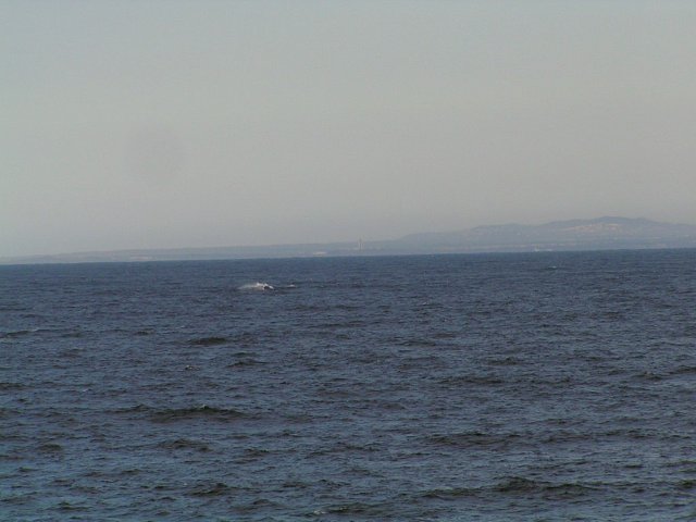 View to West towards Cape Recife