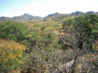 #1: Photograph of general area taking from one of the rocky hills